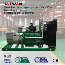 China Coal Power Plant Mine Coal Gas Electric Generator